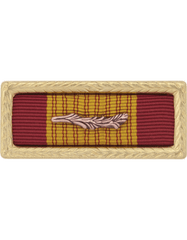 Vietnam Cross Of Gallantry Ribbon with frame and bar