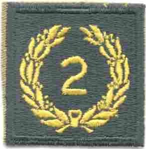 2nd Meritorious Award Army Green Border AG44 - Saunders Military Insignia