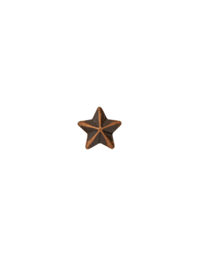 Bronze Star 1/8 inch Ribbon Device