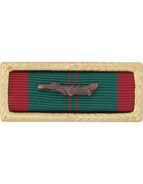 Vietnam Civil Action Ribbon Bar with Frame and palm