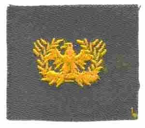 Warrant Officer Badge, cloth, Olive Drab