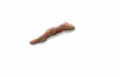 Dispositivo de cinta de palma de bronce