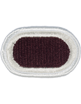 307th Medical Battalion Beret Oval