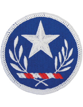 Texas National Guard Official Military Insignia Full Color Patch