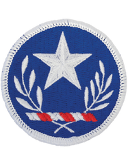 Texas National Guard Full Color Patch
