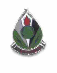 2nd Psychological Operations Unit Crest