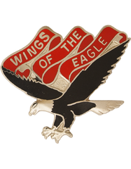 US Army 101st Aviation Unit Crest