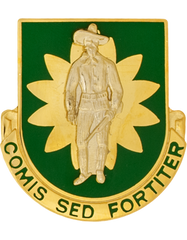 US Army 304th Military Police Unit Crest