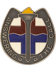 264th Medical Battalion Unit Crest