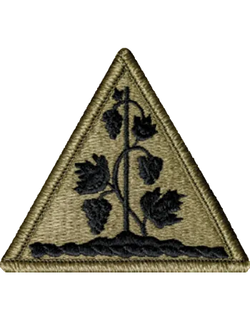 Triangular patch with black floral design on a beige background