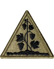 Triangular patch with black floral design on a beige background