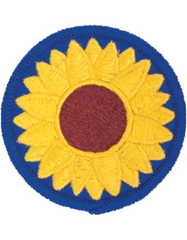 Sunflower patch with yellow petals and brown center on a blue border