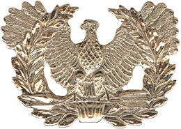 Army Warrant Officers Cap Badge