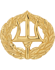 US Navy Command Ashore Badge