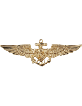 Astronant Flight Officer US Navy wing