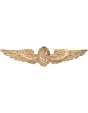 Navy Aviation Experimental Psychologist badge