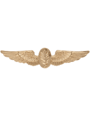Navy Aviation Experimental Psychologist badge