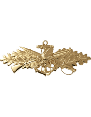 Navy Seabee Combat Warfare Specialist Officer Badge