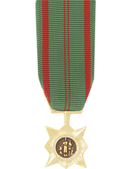Civil Action 1st Class Miniature Medal