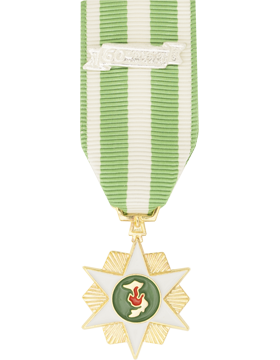 Vietnam Campaign Miniature Medal