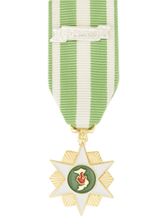 Vietnam Campaign Miniature Medal