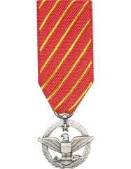 Combat Action Miniature Medal