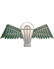 metal pin Insignia with green wings and a parachute on a silver metal background