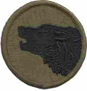 104th Division Training Subdued patch