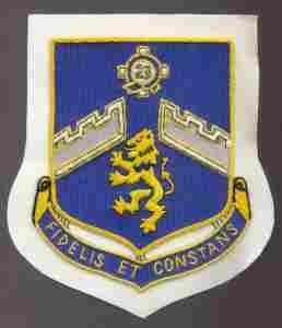 106th Infantry Regiment, Custom made Cloth Patch