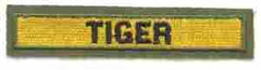 10th Armored Tiger Tab Tab - Saunders Military Insignia