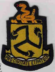 111th Cavalry Regiment handmade cloth patch - Saunders Military Insignia