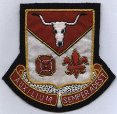 112th Medical Battalion Custom made Cloth Patch - Saunders Military Insignia