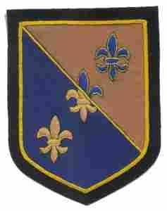 112th Quartermaster Regiment, Custom made Cloth Patch