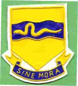 116th Cavalry Regiment Patch