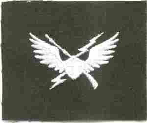 11th Air Assault Division Badge, Wing,