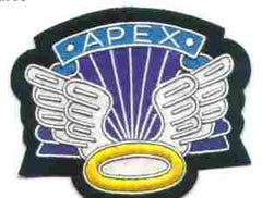 11th Airborne Command and Control Patch - Saunders Military Insignia