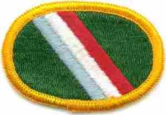 11th Special Forces Oval - Saunders Military Insignia