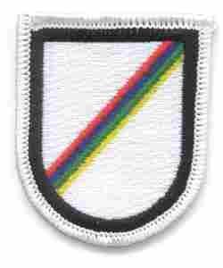 124th Military Intelligence (LRSD, Co. D) Beret Flash
