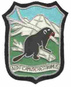 126th Mountain Engineer, Patch - Saunders Military Insignia