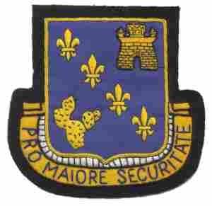 129th Infantry Regiment Custom made Cloth Patch