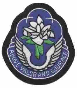 131st Aviation Battalion Custom made Cloth Patch