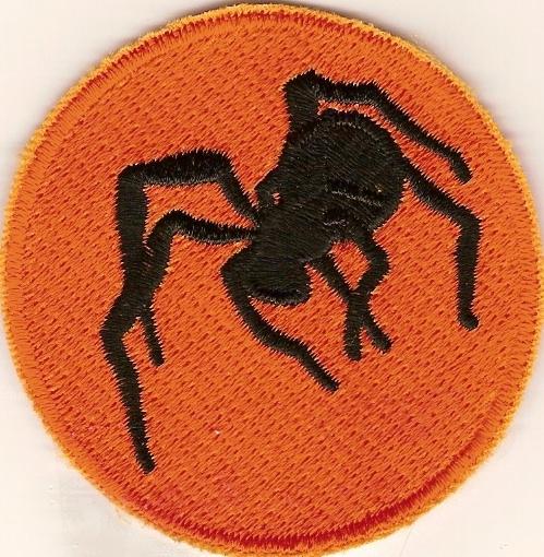 135th Airborne Division Patch