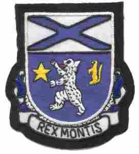 136th Infantry Regiment Custom made Cloth Patch
