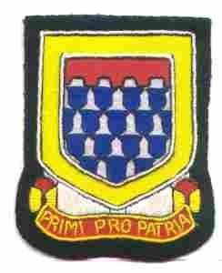 142nd Antiaircraft Artillery Battalion Custom made Cloth Patch