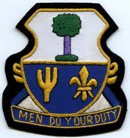 163rd Infantry Regiment Custom made Cloth Patch - Saunders Military Insignia