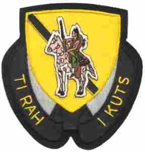 167th Cavalry Regiment Custom made Cloth Patch - Saunders Military Insignia