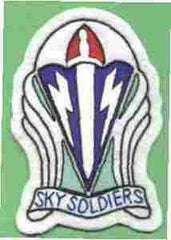 173rd Airborne Infantry Brigade Patch - Saunders Military Insignia