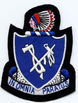 179th Infantry Regiment, Custom made Cloth Patch