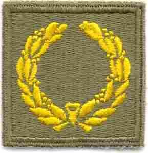 1st Meritorious Award Patch - Saunders Military Insignia