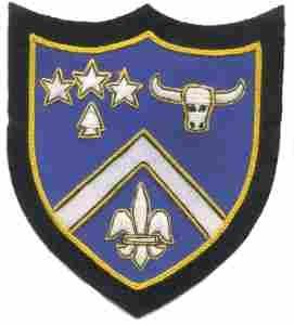 224th Infantry Regiment Custom made Cloth Patch